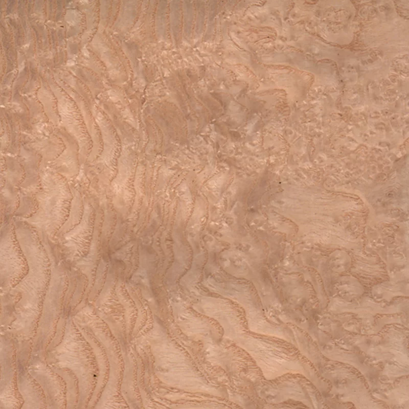 Radica Frassino Bianco