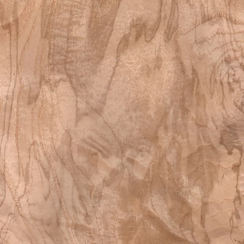 Radica Frassino Olivato