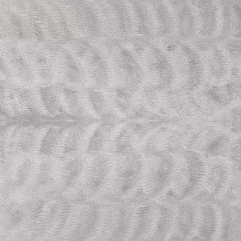 Acciaio Inox Molato Orbitale