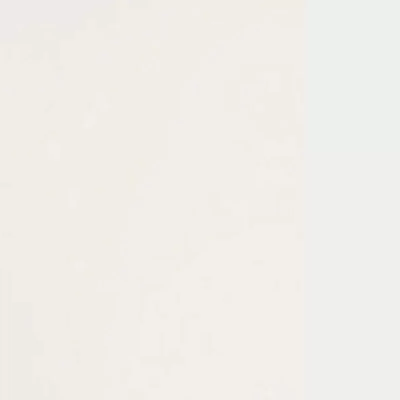 Metallo Verniciato Bianco Opaco